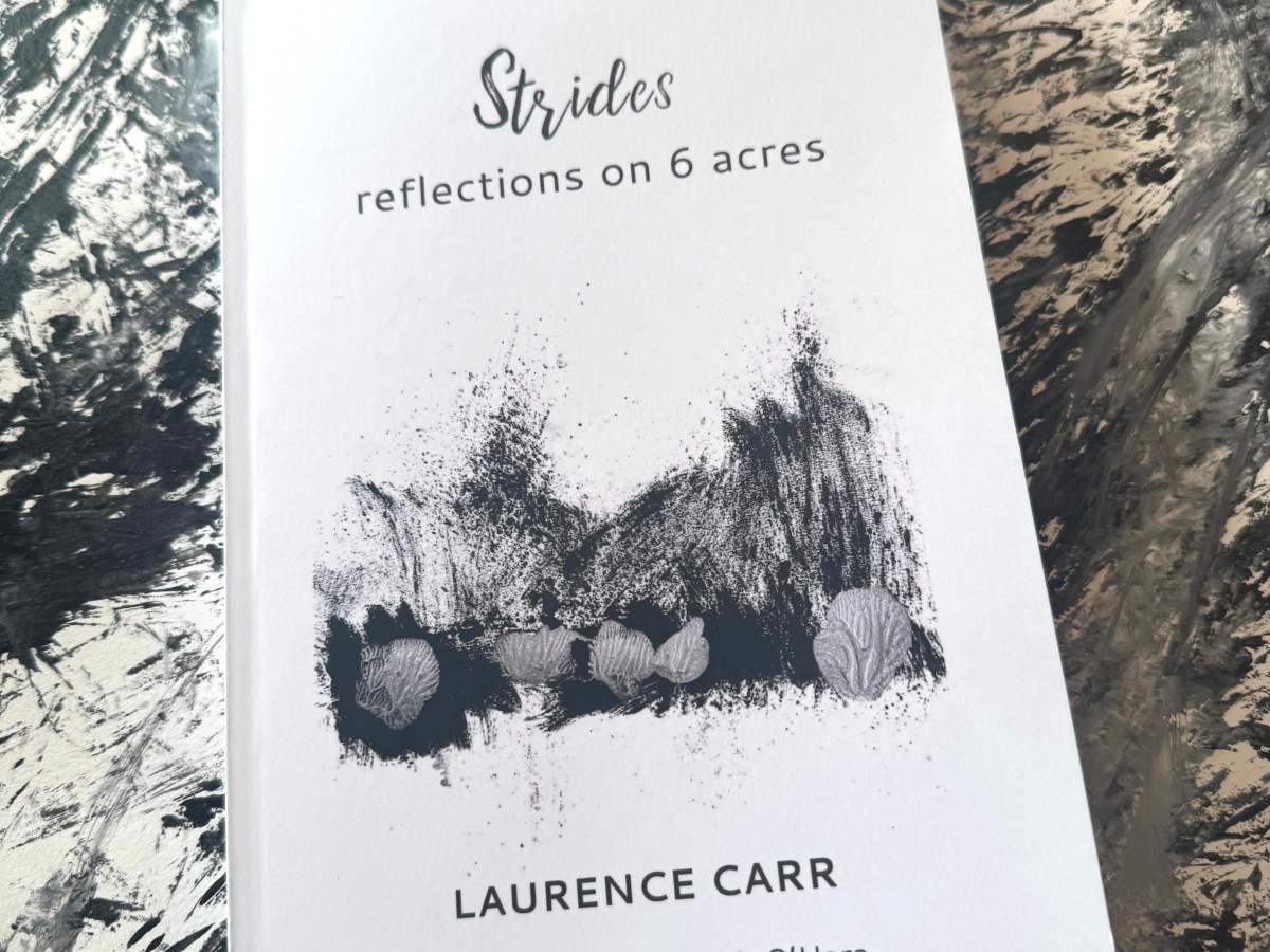 Strides: reflections 6 acres/ words by Laurence Carr, artwork by Edward M. O’Hara/ Lightwood Press and CAPS&nbsp;Press